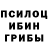 Псилоцибиновые грибы мицелий Angelina Pyagay