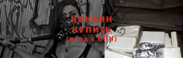 индика Балабаново